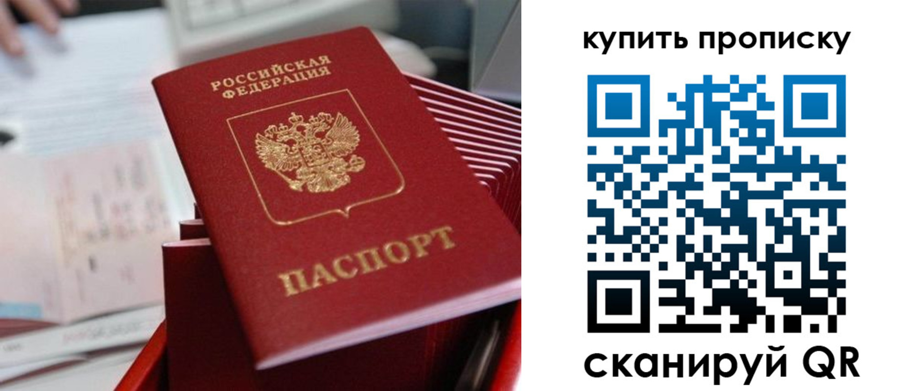 временная регистрация законно в Амурской области